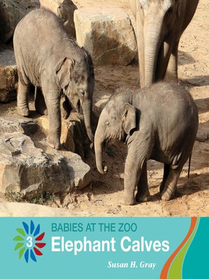 cover image of Elephant Calves